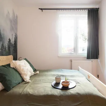 We Mgle Centrum Apartment
