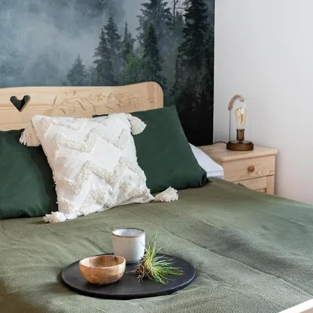 We Mgle Centrum Appartement Zakopane